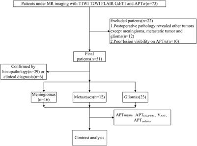 3D Amide Proton Transfer Weighted Brain Tumor Imaging With Compressed SENSE: Effects of Different Acceleration Factors